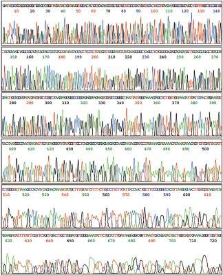 dnews-files-2013-03-Genome_Sequence_Trace_-_original-jpg