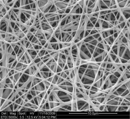 nanofibers-gelatine-5000x-magnified-28