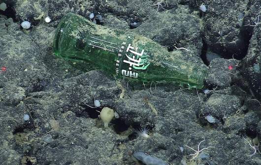 Coke bottle from Asia at Davidson Seamount