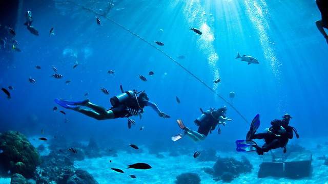 824731-scuba-divers