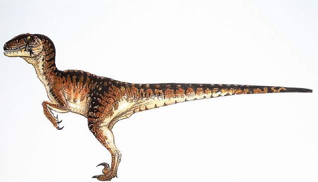 velociraptor-small