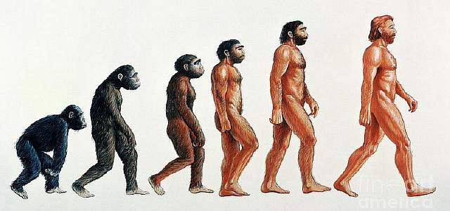 human-evolution-david-gifford
