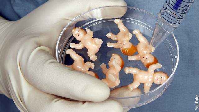 Petri-Babies