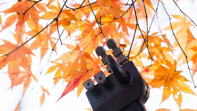 robot-hand-touching-red-leaves-picture-id626552778