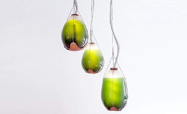 Шесть зелёных дизайнерских разработок на основе водорослей