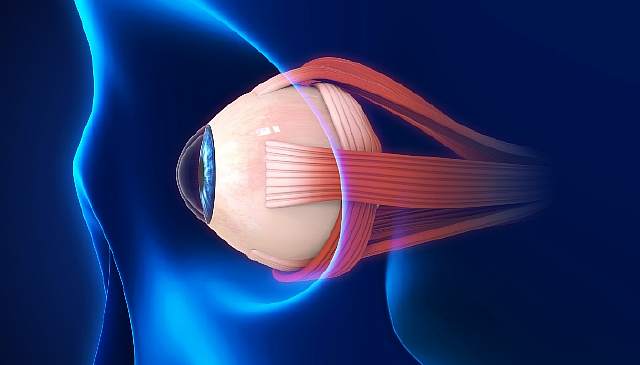 Новое устройство доставки лекарств лечит глаукому изнутри глаза