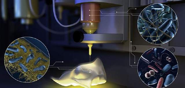 Исследователи создали платформу, которая печатает живую материю