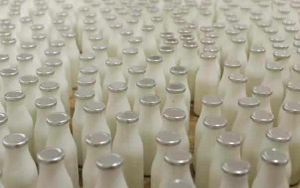 Соевое молоко — самая здоровая альтернатива коровьему
