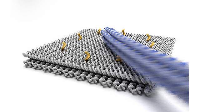 Разработка быстрого ДНК-наноробота может привести к созданию молекулярных фабрик