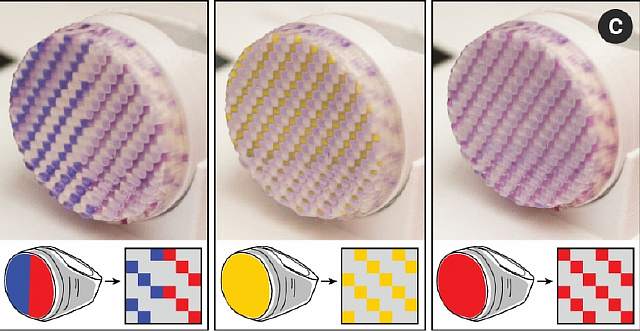 Новая технология ученых МИТ позволяет печатать 3D-ювелирные украшения, которые меняют свой цвет