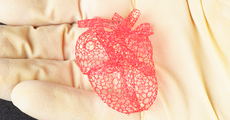 Напечатанный на 3D-принтере сахарный каркас помогает вырастить органы и после этого растворяется