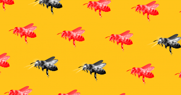 Роботы-пчёлы могут внедряться в сообщества насекомых с целью предотвратить их вымирание