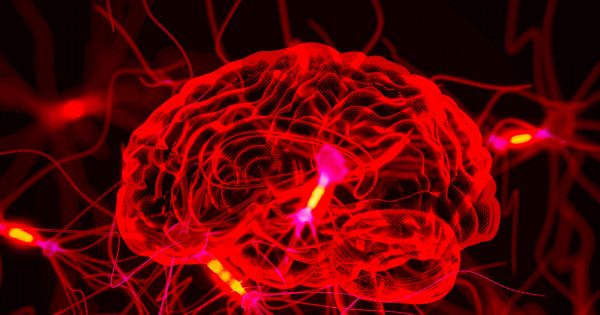 В поисках способов борьбы с хроническими заболеваниями учёные расшифровывают сигналы мозга