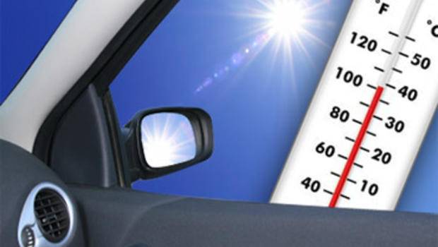 Всего за час автомобиль может нагреться под лучами солнца до смертельно опасной температуры
