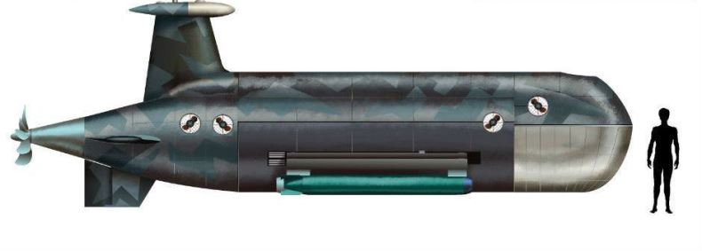 Россия работает над созданием нового подводного ударного дрона «Цефалопод»