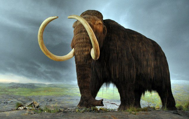 Российские учёные намерены клонировать шерстистого мамонта, используя ДНК, полученную из останков времён ледникового периода