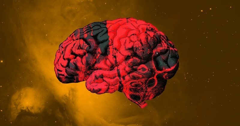 Отсутствие гравитации вызывает ужасные изменения в мозге космонавтов