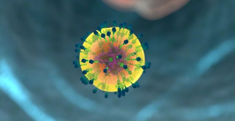 Учёные для борьбы с раком перепрограммировали клетки кожи человека в иммунные клетки