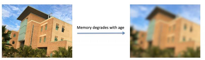 Качественный сон и хорошее настроение позволяют сохранить с возрастом хорошую рабочую память