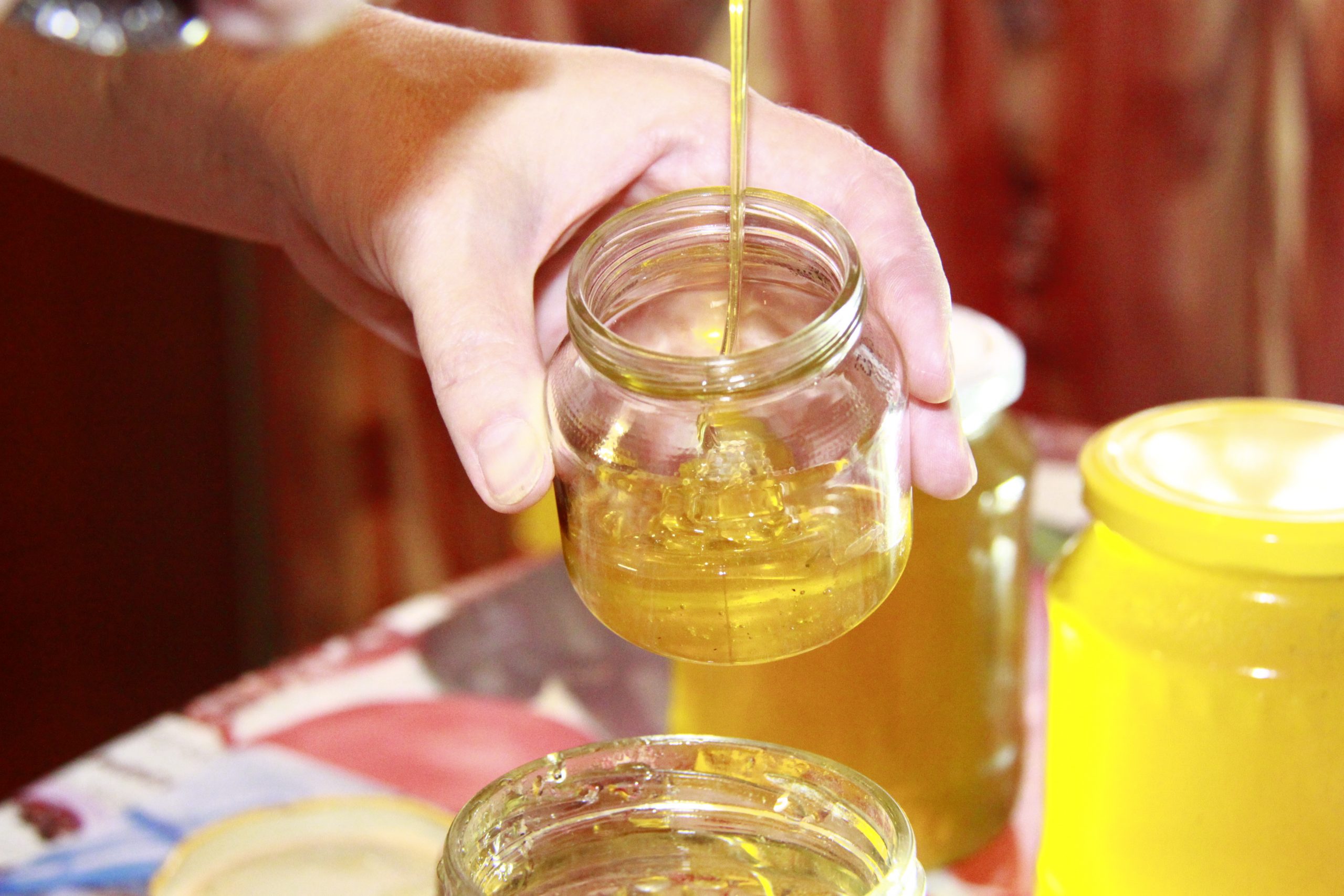 Как выбрать настоящий качественный мед?